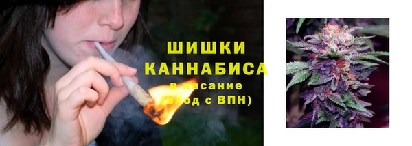 хмурый Верхний Тагил